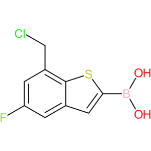7-(chloromethyl)-5-fluorobenzothiophene-2-boronic acid