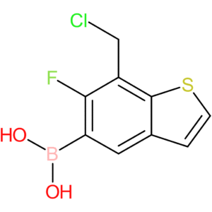 7-(chloromethyl)-6-fluorobenzothiophene-5-boronic acid