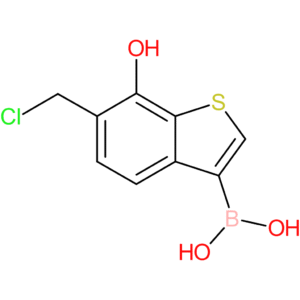 6-(chloromethyl)-7-hydroxybenzothiophene-3-boronic acid