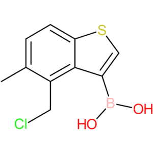 4-(chloromethyl)-5-methylbenzothiophene-3-boronic acid