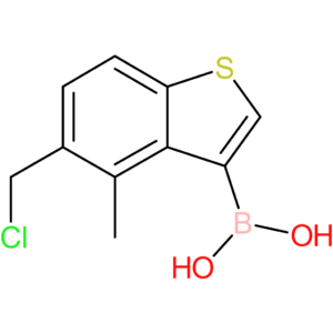 5-(chloromethyl)-4-methylbenzothiophene-3-boronic acid