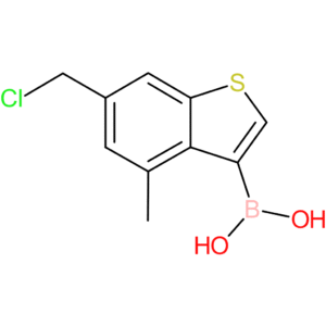 6-(chloromethyl)-4-methylbenzothiophene-3-boronic acid