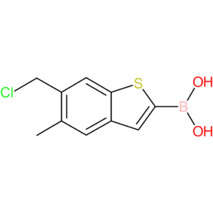 6-(chloromethyl)-5-methylbenzothiophene-2-boronic acid