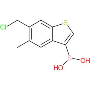 6-(chloromethyl)-5-methylbenzothiophene-3-boronic acid