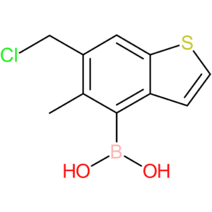 6-(chloromethyl)-5-methylbenzothiophene-4-boronic acid