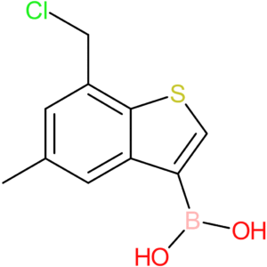 7-(chloromethyl)-5-methylbenzothiophene-3-boronic acid