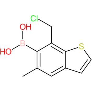 7-(chloromethyl)-5-methylbenzothiophene-6-boronic acid