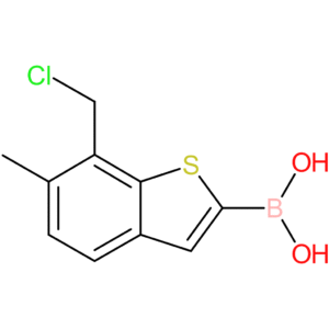 7-(chloromethyl)-6-methylbenzothiophene-2-boronic acid