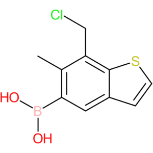 7-(chloromethyl)-6-methylbenzothiophene-5-boronic acid