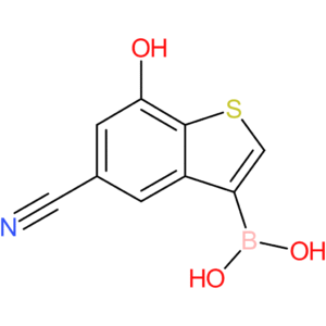 5-cyano-7-hydroxybenzothiophene-3-boronic acid