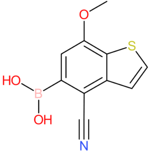 4-cyano-7-methoxybenzothiophene-5-boronic acid