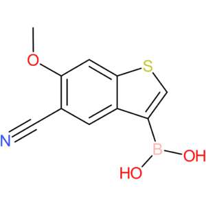 5-cyano-6-methoxybenzothiophene-3-boronic acid