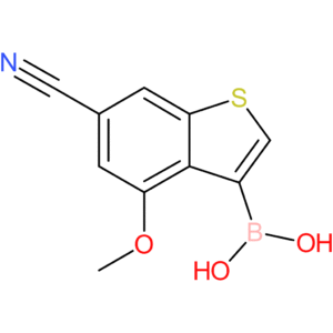 6-cyano-4-methoxybenzothiophene-3-boronic acid