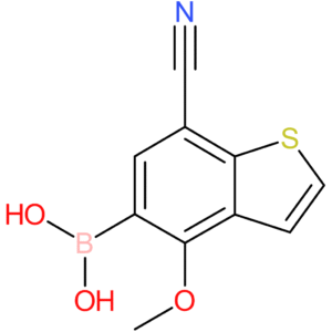 7-cyano-4-methoxybenzothiophene-5-boronic acid