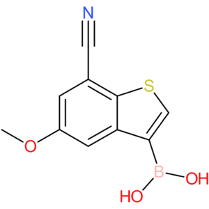 7-cyano-5-methoxybenzothiophene-3-boronic acid