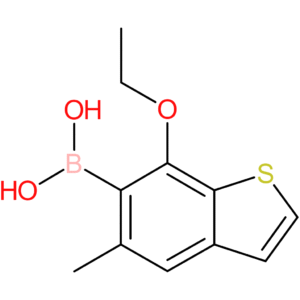 7-ethoxy-5-methylbenzothiophene-6-boronic acid