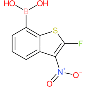 2-fluoro-3-nitrobenzothiophene-7-boronic acid