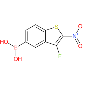 3-fluoro-2-nitrobenzothiophene-5-boronic acid