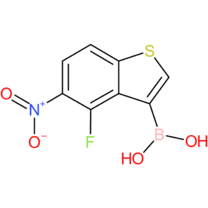 4-fluoro-5-nitrobenzothiophene-3-boronic acid
