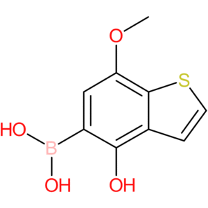 4-hydroxy-7-methoxybenzothiophene-5-boronic acid