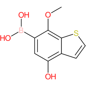 4-hydroxy-7-methoxybenzothiophene-6-boronic acid