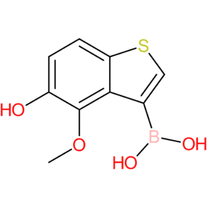 5-hydroxy-4-methoxybenzothiophene-3-boronic acid