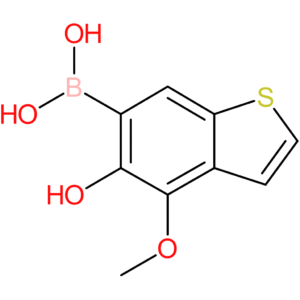 5-hydroxy-4-methoxybenzothiophene-6-boronic acid