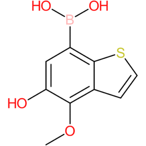 5-hydroxy-4-methoxybenzothiophene-7-boronic acid