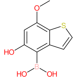 5-hydroxy-7-methoxybenzothiophene-4-boronic acid
