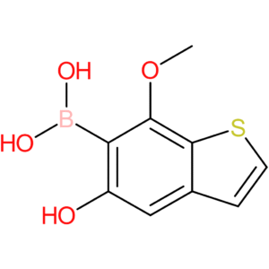 5-hydroxy-7-methoxybenzothiophene-6-boronic acid