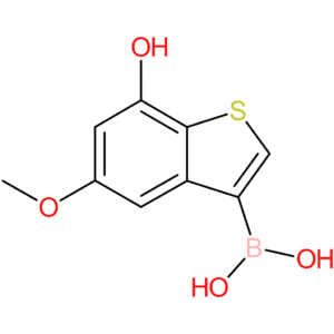 7-hydroxy-5-methoxybenzothiophene-3-boronic acid