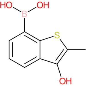 3-hydroxy-2-methylbenzothiophene-7-boronic acid
