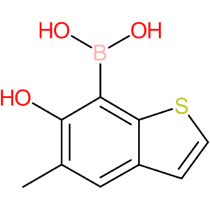 (6-hydroxy-5-methyl-1-benzothiophen-7-yl)boronic acid
