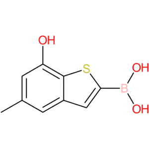 7-hydroxy-5-methylbenzothiophene-2-boronic acid