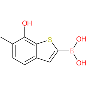 (7-hydroxy-6-methyl-1-benzothiophen-2-yl)boronic acid