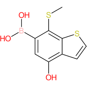 4-hydroxy-7-(methylthio)benzothiophene-6-boronic acid