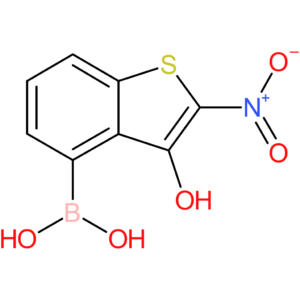 3-hydroxy-2-nitrobenzothiophene-4-boronic acid