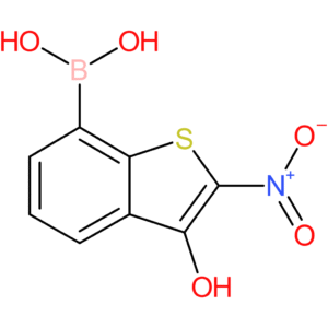 3-hydroxy-2-nitrobenzothiophene-7-boronic acid