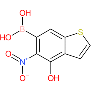 4-hydroxy-5-nitrobenzothiophene-6-boronic acid