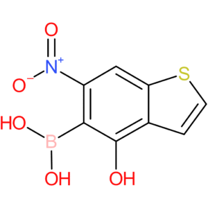 4-hydroxy-6-nitrobenzothiophene-5-boronic acid