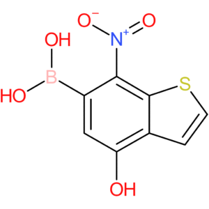 4-hydroxy-7-nitrobenzothiophene-6-boronic acid