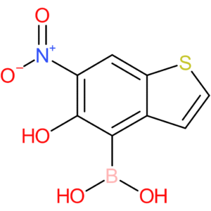 5-hydroxy-6-nitrobenzothiophene-4-boronic acid