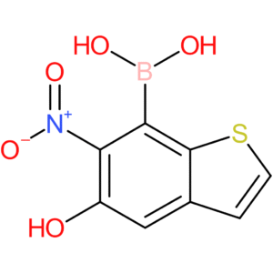 5-hydroxy-6-nitrobenzothiophene-7-boronic acid