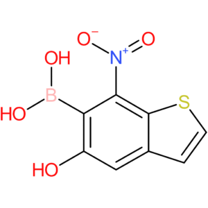 5-hydroxy-7-nitrobenzothiophene-6-boronic acid