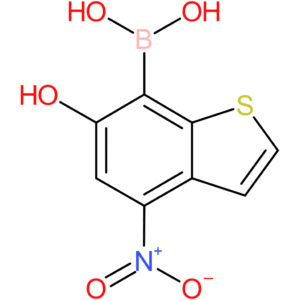 6-hydroxy-4-nitrobenzothiophene-7-boronic acid