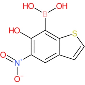 6-hydroxy-5-nitrobenzothiophene-7-boronic acid