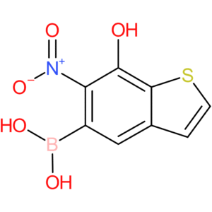7-hydroxy-6-nitrobenzothiophene-5-boronic acid