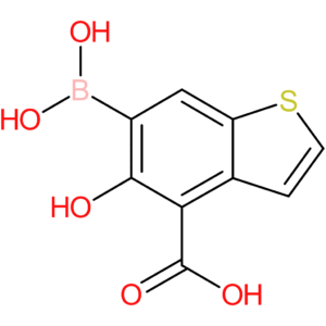 4-carboxy-5-hydroxybenzothiophene-6-boronic acid