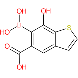 5-carboxy-7-hydroxybenzothiophene-6-boronic acid