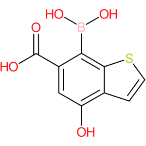 6-carboxy-4-hydroxybenzothiophene-7-boronic acid